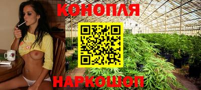 дурь Новокубанск