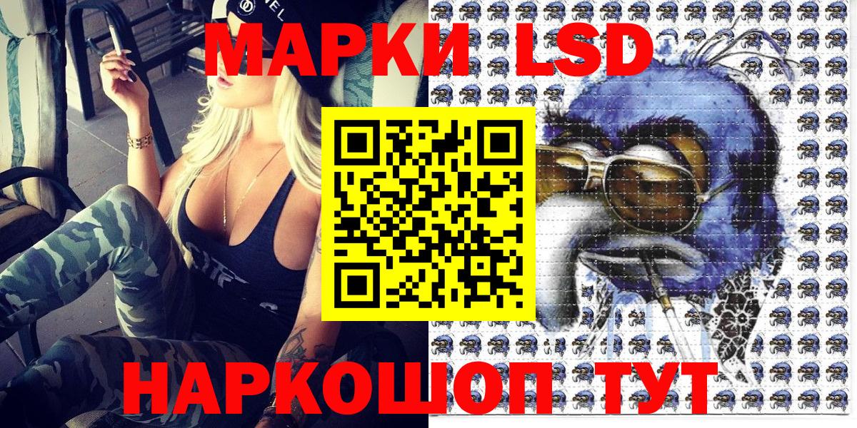 Галлюциногенные грибы Фрязино