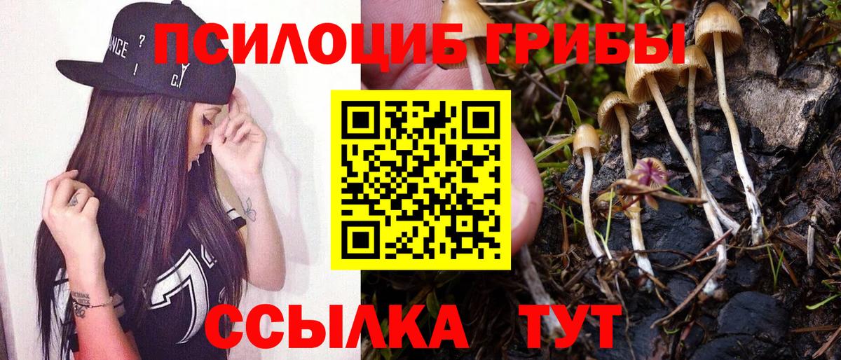 Псилоцибиновые грибы мухоморы Фрязино