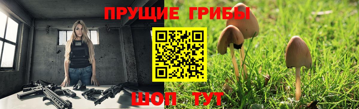 Галлюциногенные грибы GOLDEN TEACHER  Вход с VPN  Фрязино 